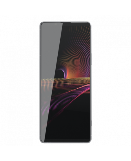 Sony Xperia 1 III Dual, 12.512GB, Frosted Gray
